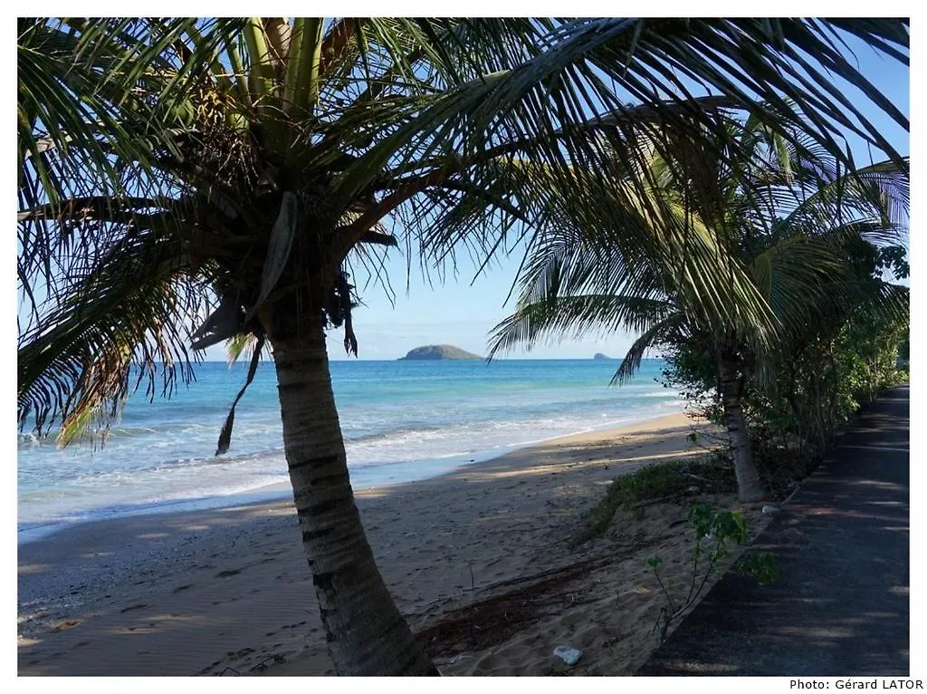 Lejlighed Studio Cannelle Saint Francois Guadeloupe