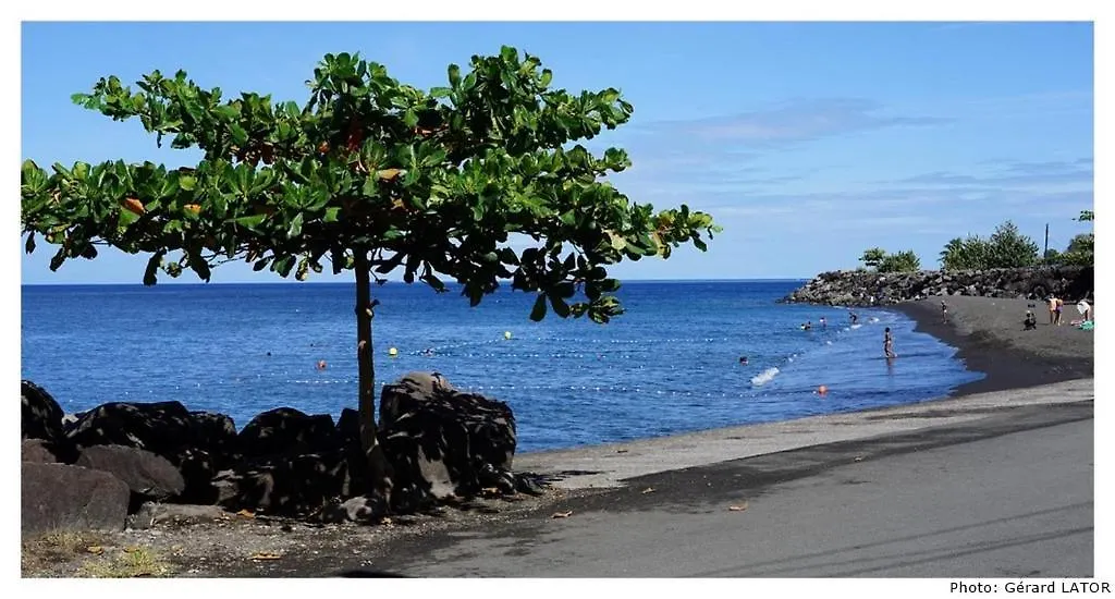 Studio Cannelle Saint Francois Guadeloupe Lejlighed Saint-Francois (Grande-Terre)