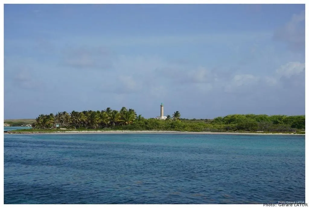 Lejlighed Studio Cannelle Saint Francois Guadeloupe Guadeloupe