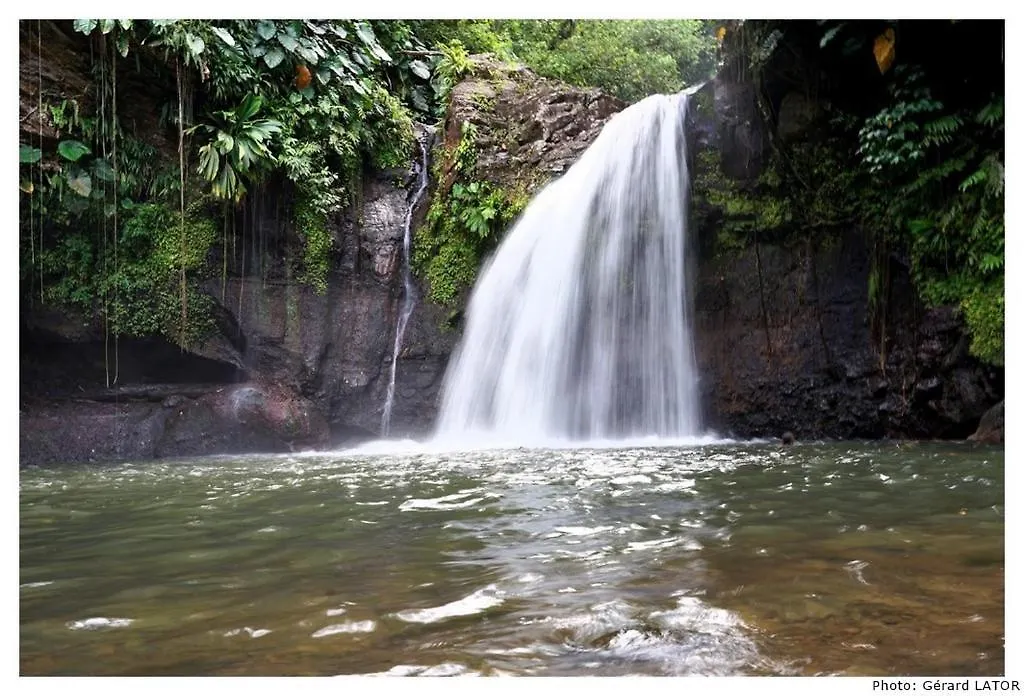 Lejlighed Studio Cannelle Saint Francois Guadeloupe Guadeloupe