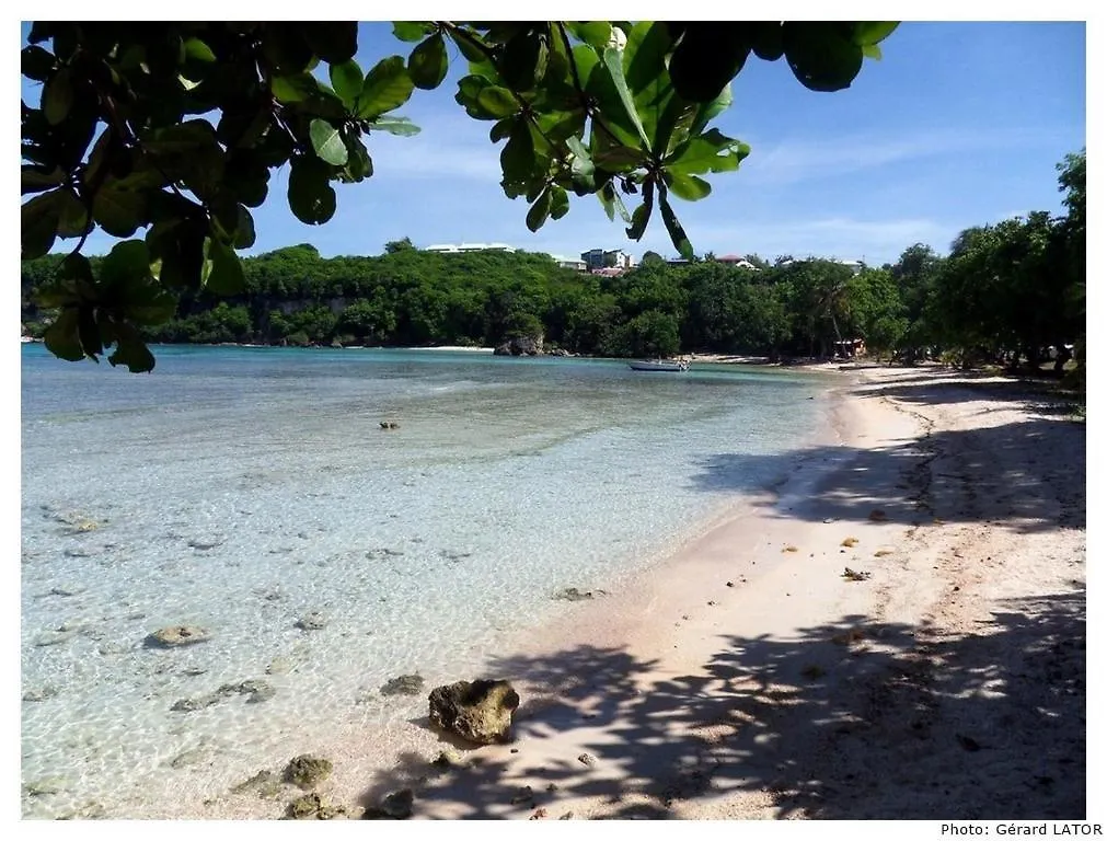 Studio Cannelle Saint Francois Guadeloupe Lejlighed