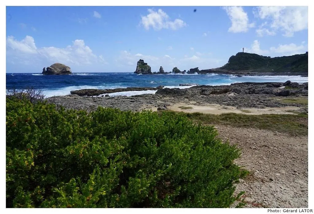Lejlighed Studio Cannelle Saint Francois Guadeloupe