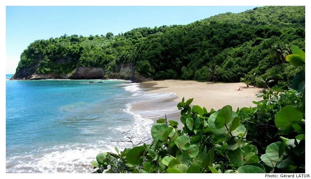 Studio Cannelle Saint Francois Guadeloupe Guadeloupe