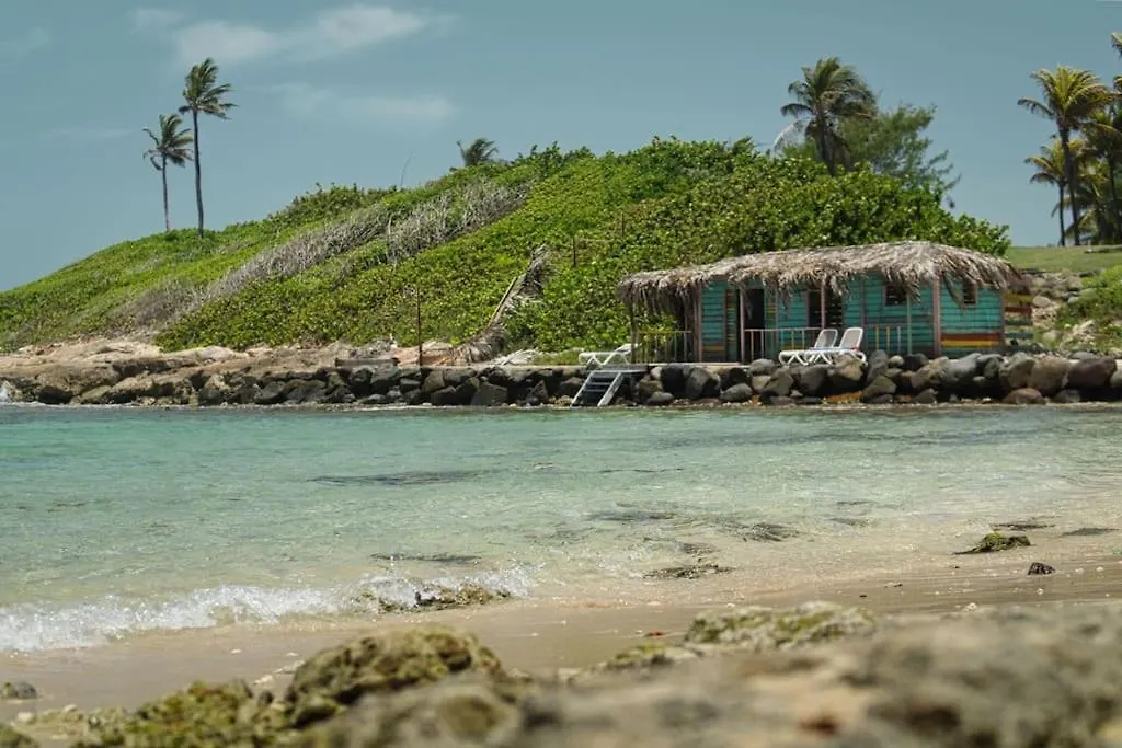 Studio Mer Piscine Saint Francois Guadeloupe