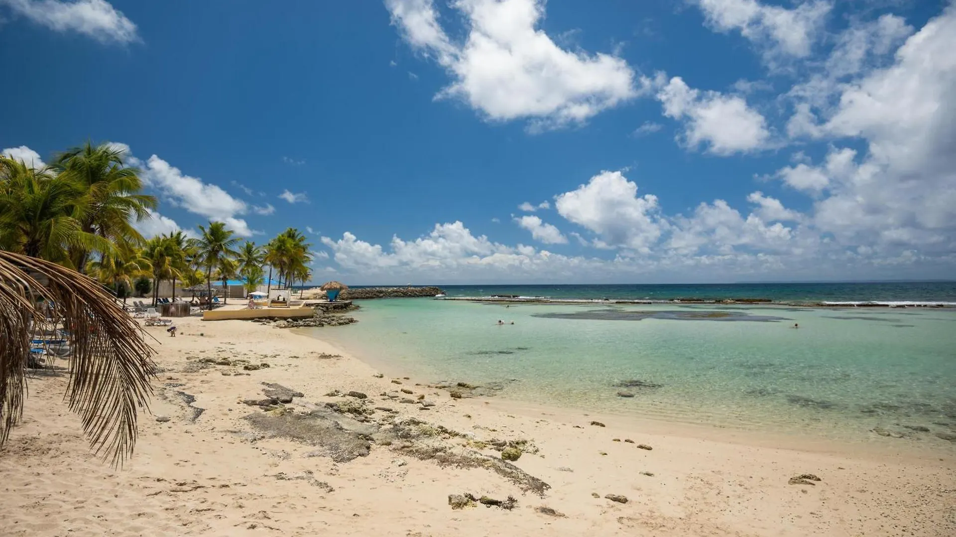 Studio Mer Piscine Saint Francois Guadeloupe Guadeloupe