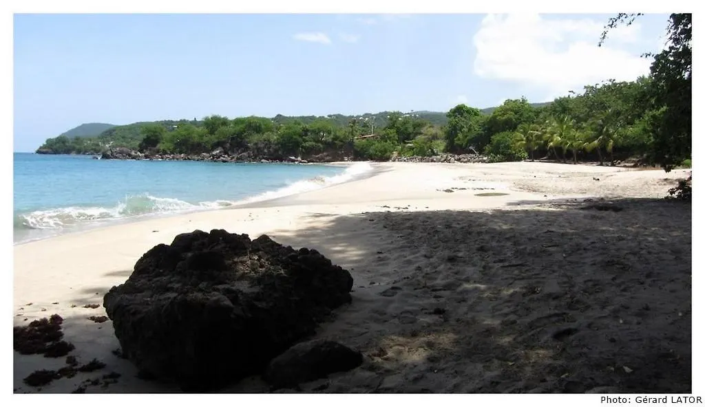 Апартаменты Studio Cannelle Saint Francois Guadeloupe