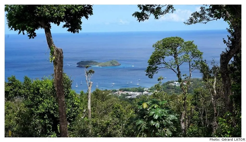 Апартаменты Studio Cannelle Saint Francois Guadeloupe
